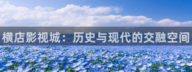 飘花影院手机在线观看：横店影视城：历史与现代的交融空间