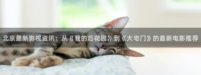 飘花最新电影：北京最新影视资讯：从《我的后花园》到《大宅门》的最新电影推荐