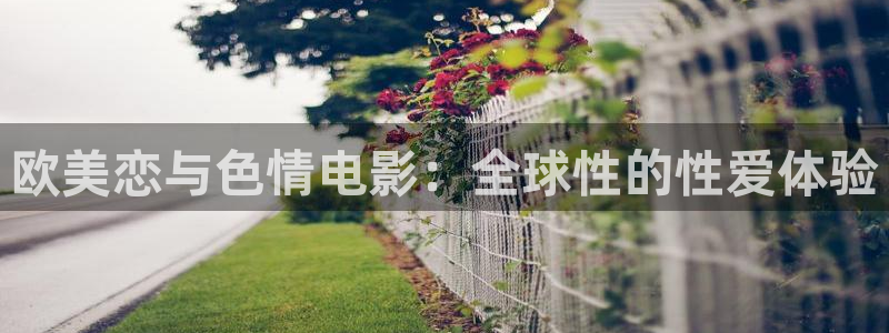 飘花在线电影网：欧美恋与色情电影：全球性的性爱体验