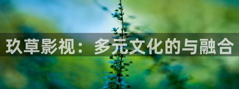 飘花影院.：玖草影视：多元文化的与融合