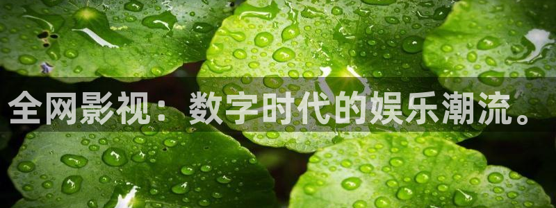 飘花影院电影免费全集在线观看：全网影视：数字时代的娱乐潮流。