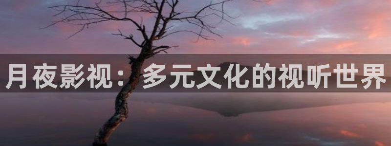 午夜电影网飘花