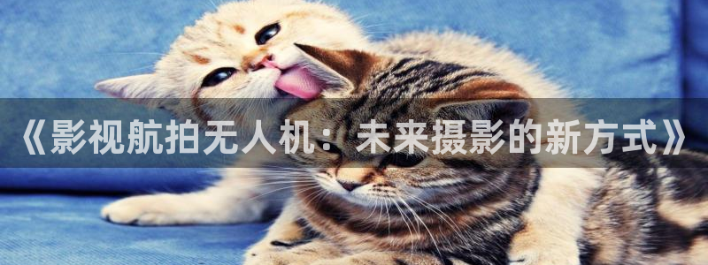 欢乐今宵飘花影院：《影视航拍无人机：未来摄影的新方式》
