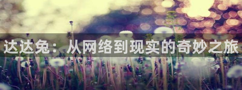 飘花影视网