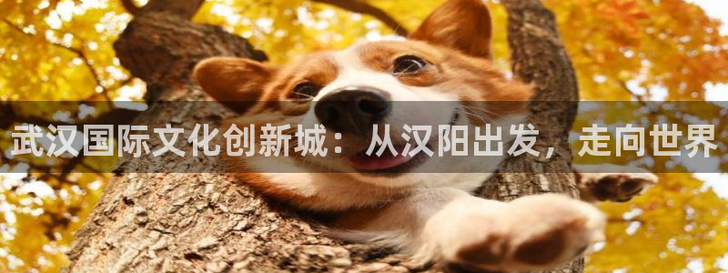 飘花影视理论