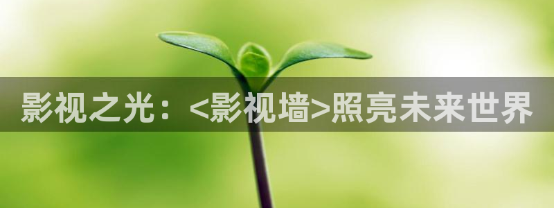 飘花电影网在线观看飘花：影视之光：<影视墙>照亮未来世界
